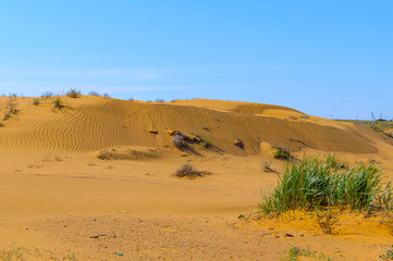 Fototapeta na wymiar Panorama of the semi-desert with withered grass