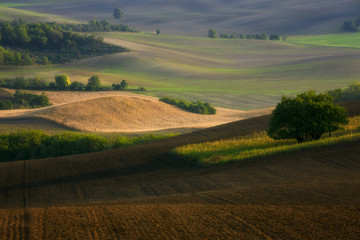 Fototapeta na wymiar Moravian fields, Moravia, Czech Republic, around the village Kyjov 