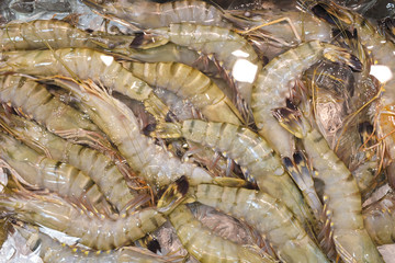 店頭のブラックタイガー