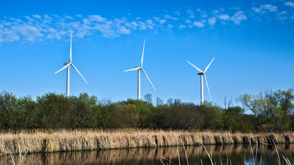 Fototapeta premium Windmills for electric power production near pond and trees at dusk