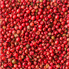 Pink pepper seeds as background texture. Organic food