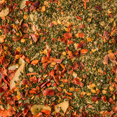  background of herb and spice mixture. Top view