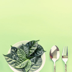 Breakfast dish set plate fork spoon ingredients.