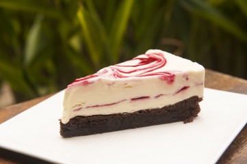 Raspberry Ripple Ice Cream Cake