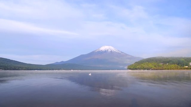 富士山と白鳥