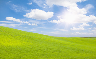 Green grass field and bright blue sky