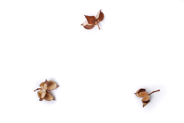 Fototapeta premium Potpourri with white background