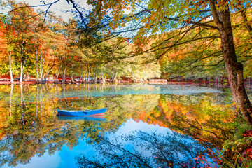 Obraz premium Autumn landscape in (seven lakes) Yedigoller Park Bolu, Turkey