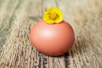Fresh raw chicken egg, on natural wooden background, close-up

