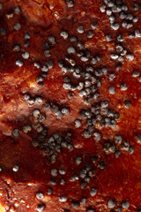 Poppy seeds in a bun as a background