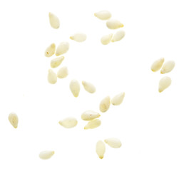 Sesame seeds isolated on white background