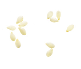 Sesame seeds isolated on white background