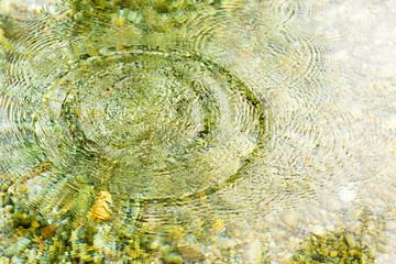 Circles on the smooth surface of the water on the river