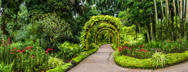 panorama, orchid arch in Singapore botanical gardens - obrazy, fototapety, plakaty