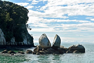 Road Trip in New Zealand