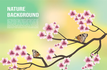 Fototapeta premium Vector nature background with tree blossom and two orange butterfly