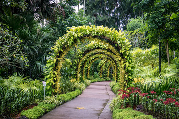 orchid arch in Singapore botanical gardens - obrazy, fototapety, plakaty