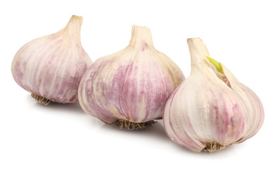 garlic on white background isolated