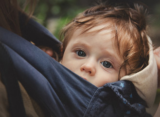little baby in carrier with mother at outdoor. A boy looking at camera