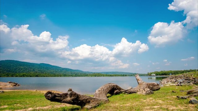 summer landscape with river and clouds - timelapse 
