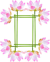 Obraz premium encadrement lotus rose 