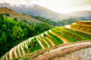 Outdoor kussens Stunning sunset at the rice terrace near Guilin in China © creativefamily