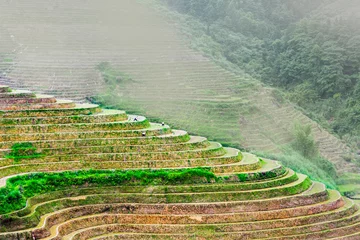 Gordijnen Stunning scenery of Chinese rice terrace near Guilin © creativefamily
