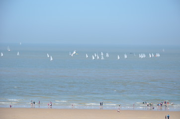 régate de laser sur les côtes d'Ostende belgique