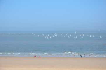 Fototapeta premium régate de laser sur les côtes d'Ostende belgique