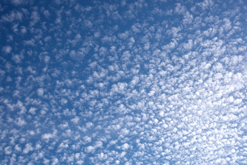 Obraz premium うろこ雲_3