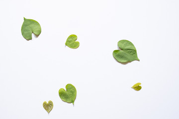 Leaves Heart-shaped on white background