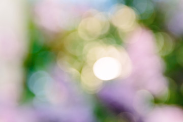 abstract bokeh background with bright lights yellow purple green