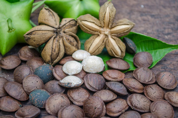 Sacha inchi, Sacha peanut, Inca peanut, Supra or Mountain peanut