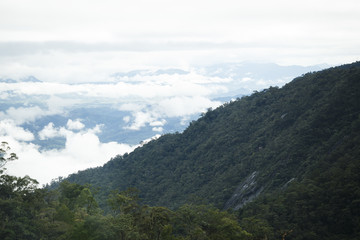fog in the mountains of Vietnam. Mountain forest. Clouds in the mountains.