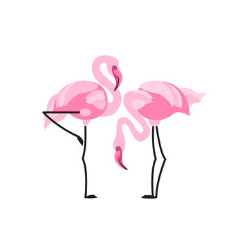 Flamingo label. Vector illustration.