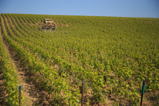 Un tracteur en cours de traitement phytosanitaire dans le vignoble champenois,cadrage large, paysage viticole vert et bleu
