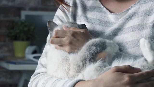 Woman holding a beautiful cat in her arms