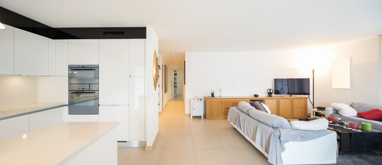 Living room with sofas, table with chairs to eat and a modern kitchen