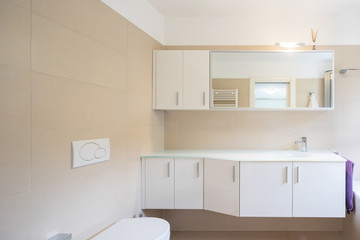 Elegant bathroom with large sink and mirror