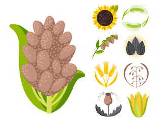 Cereal seeds grain product badge vector logo templates set natural plant muesli grainy organic porridge flour illustration.