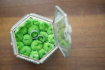 wedding rings in green leaves.