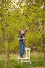Young blonde boy standting on white old chair in spring landscape