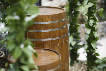 wooden barrel on the background of greenery