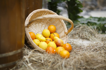 fruits are poured out of wicker carpets, straw