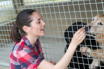 cheerful woman gives dog sweets through the fence