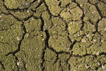 Cracks on dry soil, close-up, texture, background