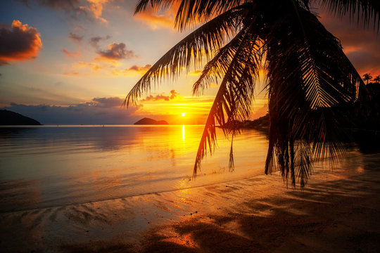 Fototapeta Beautiful bright colorful stunning sunset on a tropical beach on a paradise island
