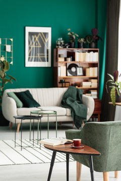 Green cozy living room interior