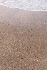 貝殻の破片が埋まった砂浜
