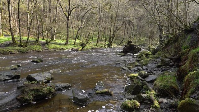 Pan along river to Sgwd Gwaladus Waterfall, Brecon Beacons, South Wales, in spate in late winter